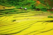 VOYAGER AU NORD-OUEST DU VIETNAM: SITES A DECOUVRIR A NE PAS MANQUER (Part 1) VOYAGER AU NORD-OUEST DU VIETNAM: SITES A DECOUVRIR A NE PAS MANQUER (Part 1)
